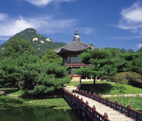 成都6家不排队供卵机构公布，供卵助孕各阶段费用参考！